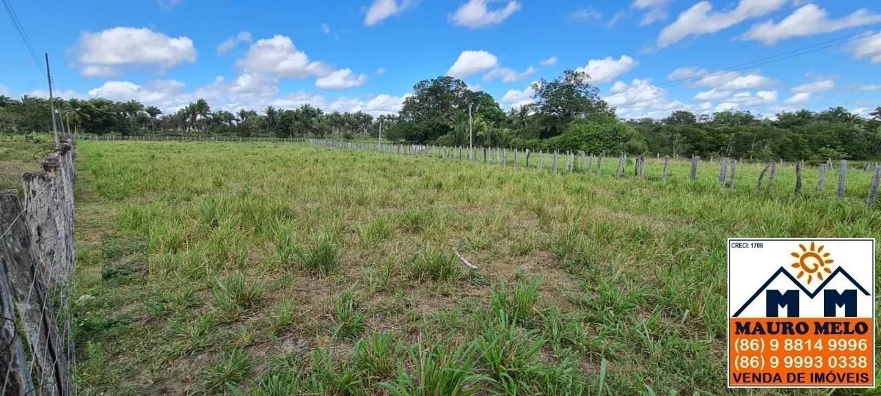 Fazenda à venda, 50300m² - Foto 3