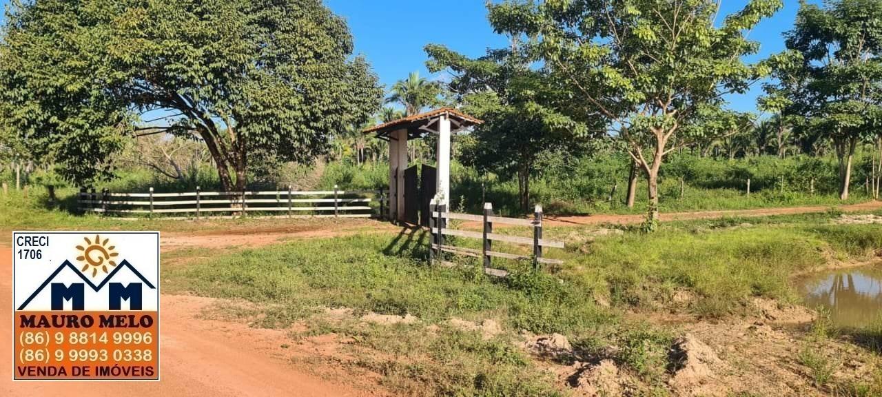 Fazenda-Sítio-Chácara, 1 hectares - Foto 4