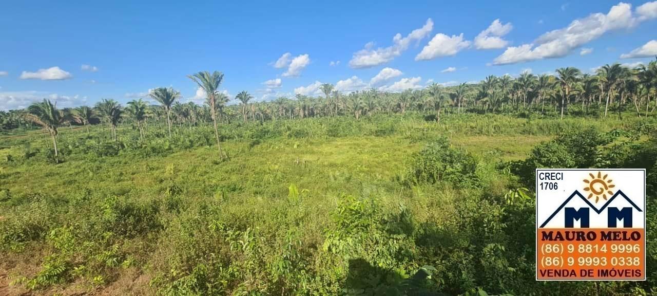 Fazenda-Sítio-Chácara, 1 hectares - Foto 5