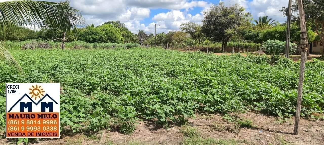 Fazenda-Sítio-Chácara, 1 hectares - Foto 6