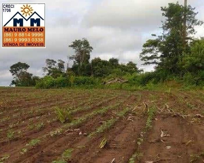 Fazenda à venda, 135500m² - Foto 1