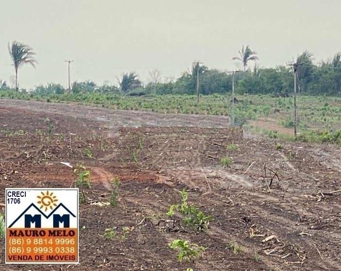 Fazenda à venda, 135500m² - Foto 2