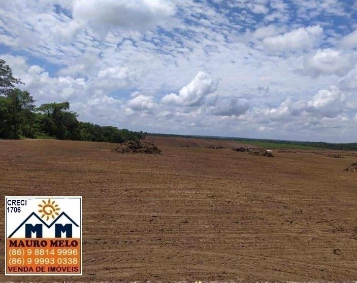 Fazenda à venda, 135500m² - Foto 3