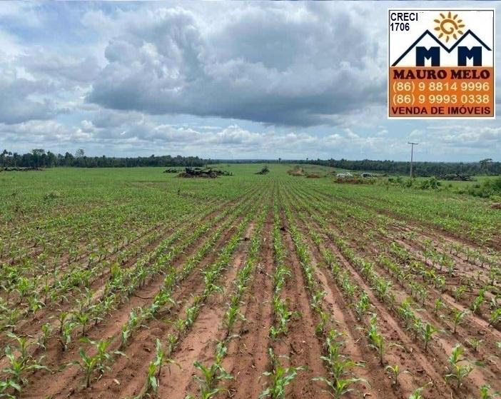 Fazenda à venda, 135500m² - Foto 4