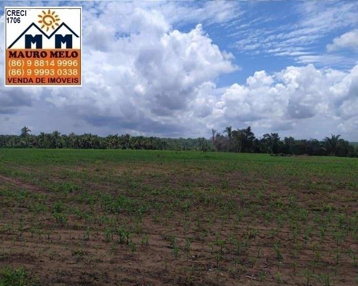 Fazenda à venda, 135500m² - Foto 5