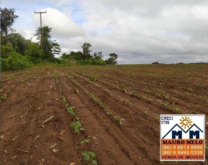 Fazenda à venda, 135500m² - Foto 6