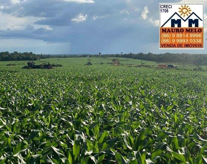 Fazenda à venda, 135500m² - Foto 7
