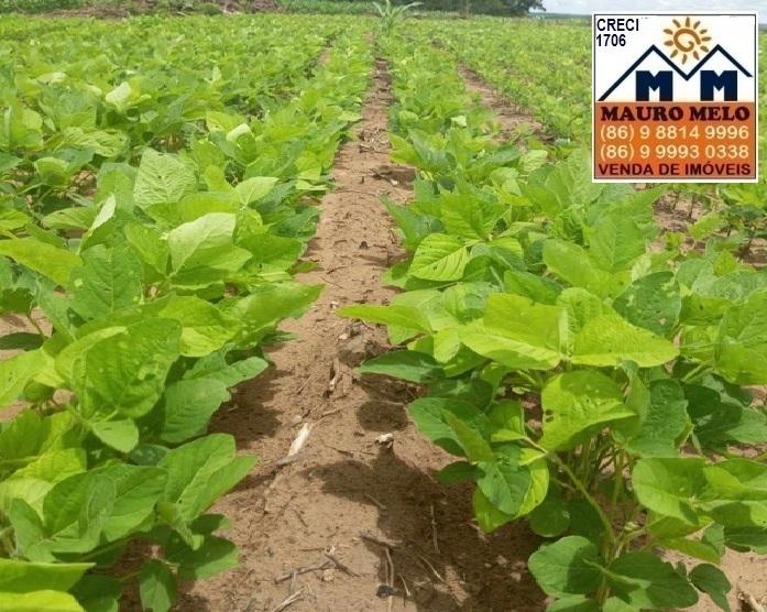 Fazenda à venda, 135500m² - Foto 9
