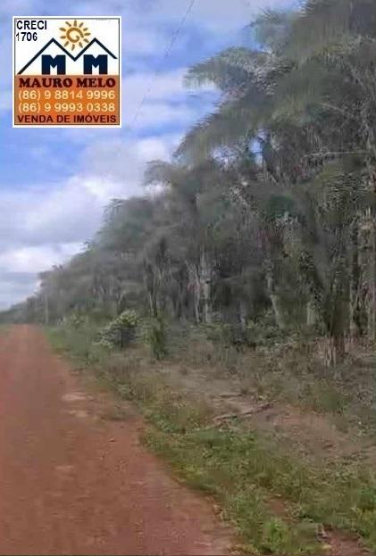Fazenda à venda, 1479000m² - Foto 4