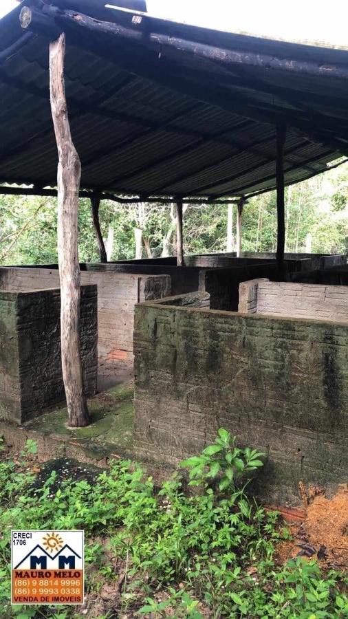 Sítio à venda com 2 quartos, 100000m² - Foto 10