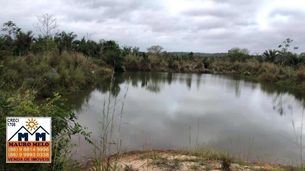 Sítio à venda com 2 quartos, 100000m² - Foto 14