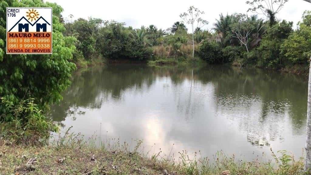 Sítio à venda com 2 quartos, 100000m² - Foto 15