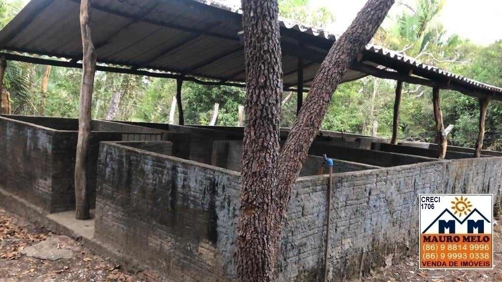 Sítio à venda com 2 quartos, 100000m² - Foto 16