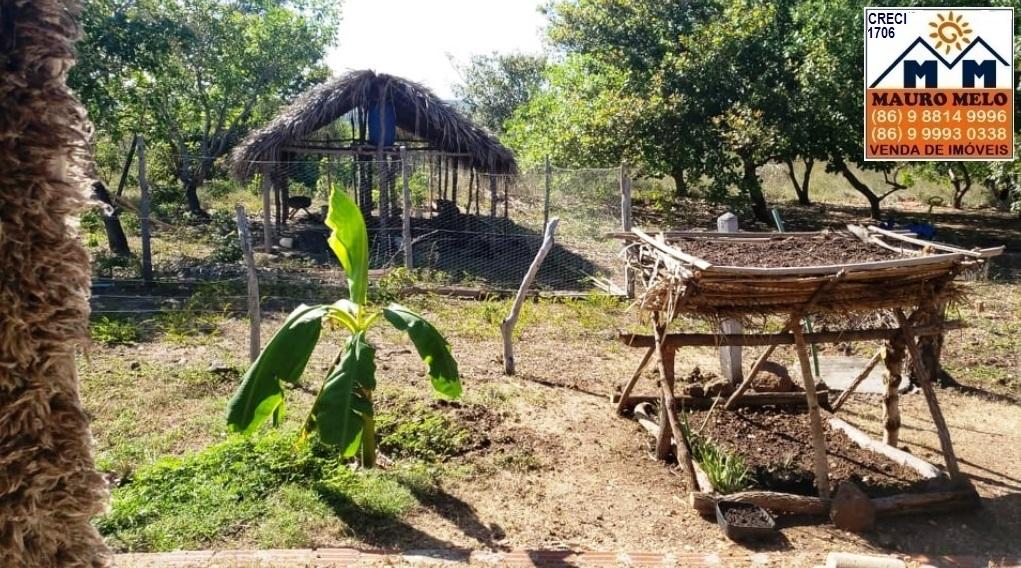 Fazenda à venda com 4 quartos, 1215000m² - Foto 6