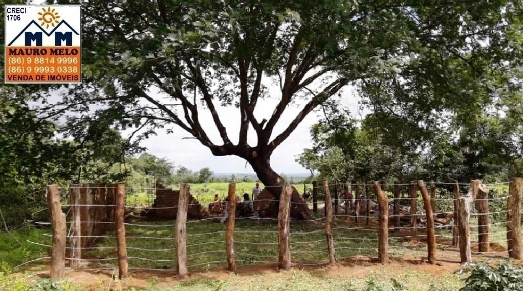 Fazenda à venda com 4 quartos, 1215000m² - Foto 5