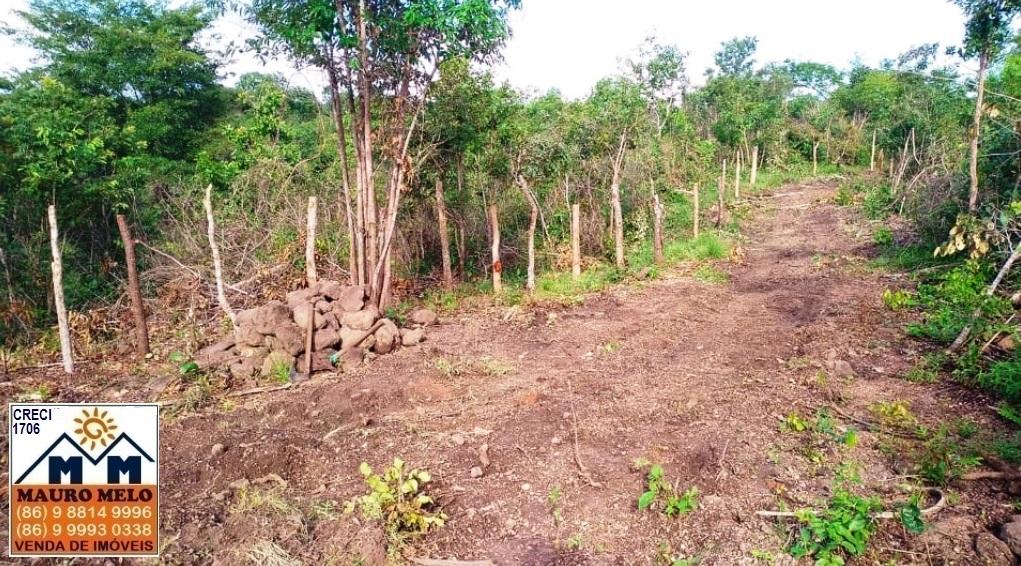 Fazenda à venda com 4 quartos, 1215000m² - Foto 7