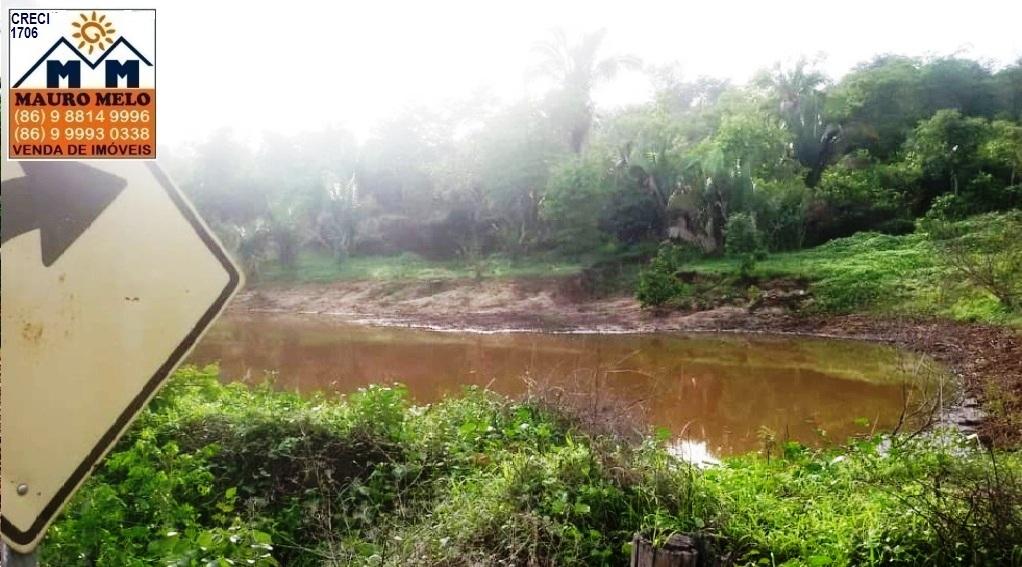 Fazenda à venda com 4 quartos, 1215000m² - Foto 8