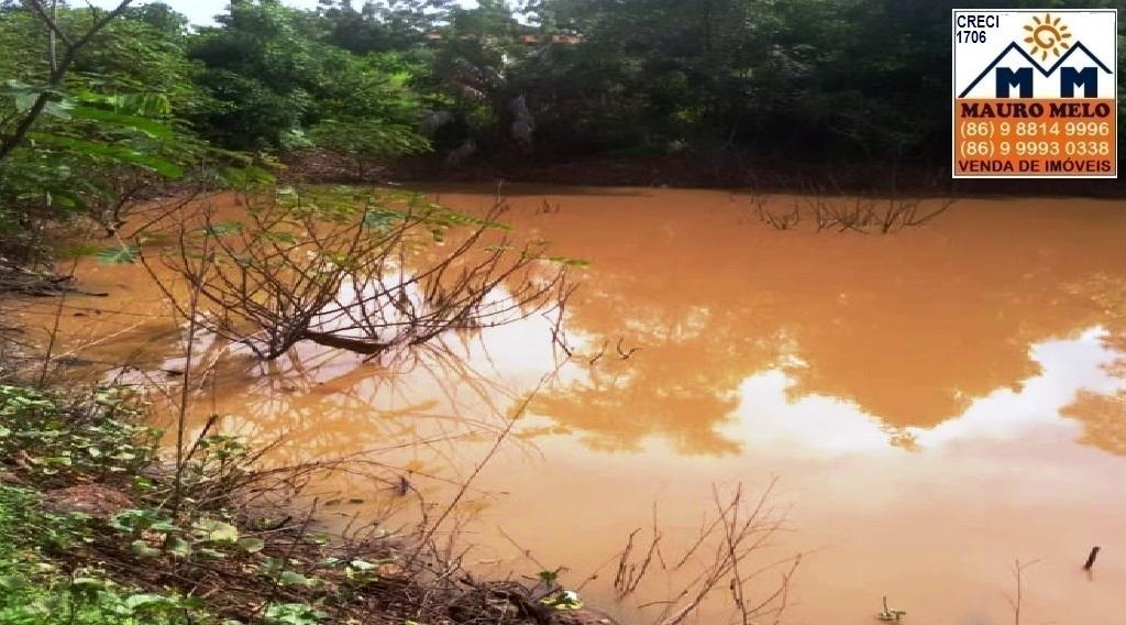 Fazenda à venda com 4 quartos, 1215000m² - Foto 9