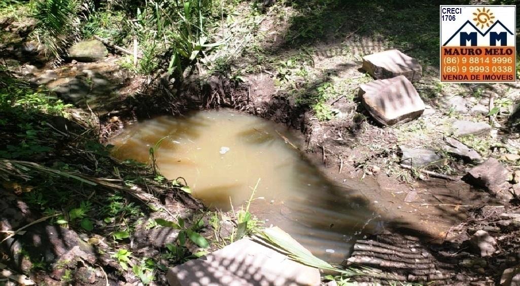 Fazenda à venda com 4 quartos, 1215000m² - Foto 10