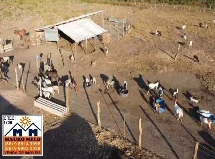 Fazenda à venda, 1640000m² - Foto 3