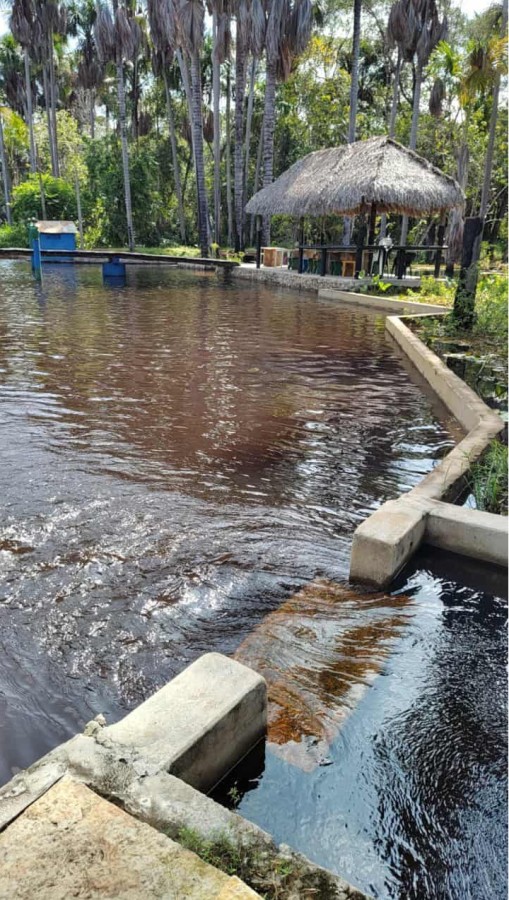 Terreno, 800 m² - Foto 5