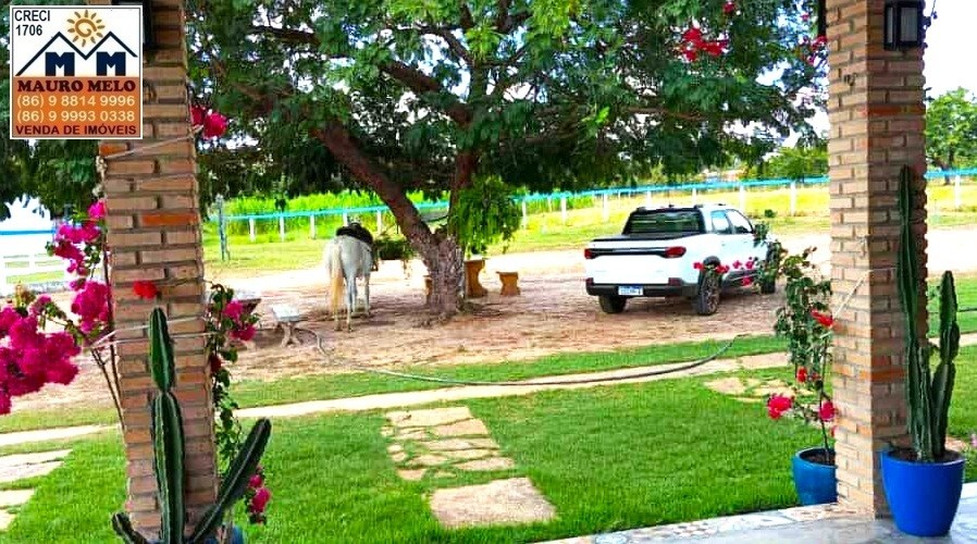 Chácara, 17 hectares - Foto 5