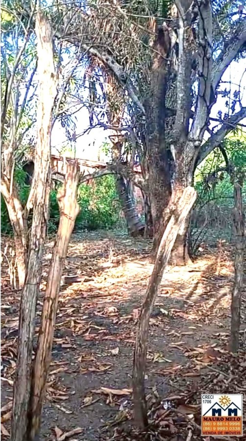 Terreno, 500 m² - Foto 1