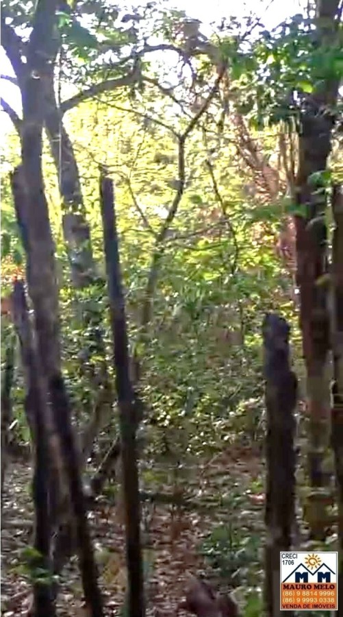 Terreno, 500 m² - Foto 2