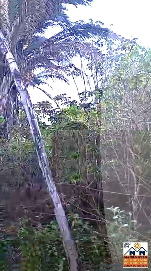 Terreno, 500 m² - Foto 4