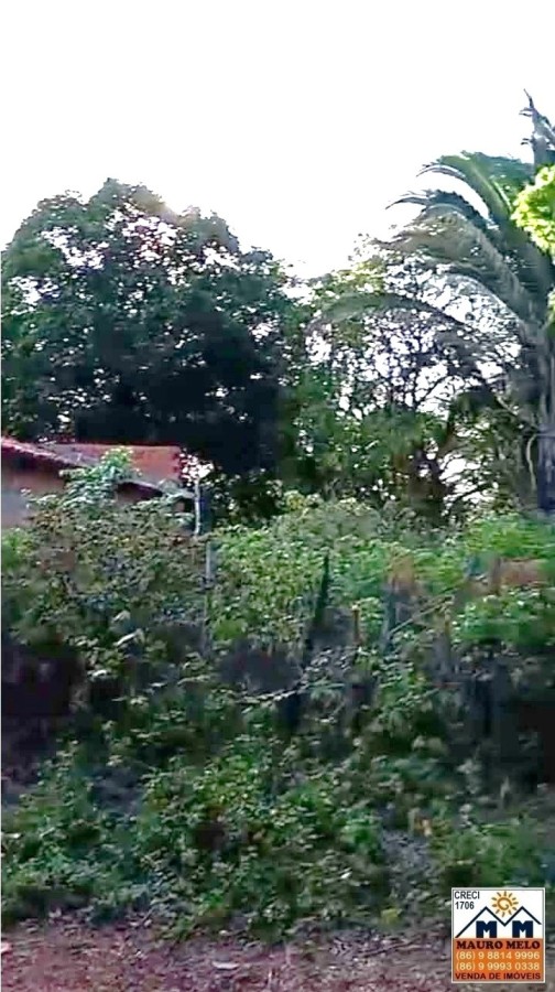 Terreno, 500 m² - Foto 5