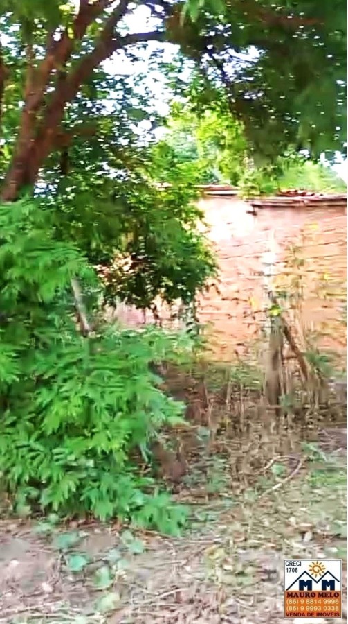 Terreno, 500 m² - Foto 6